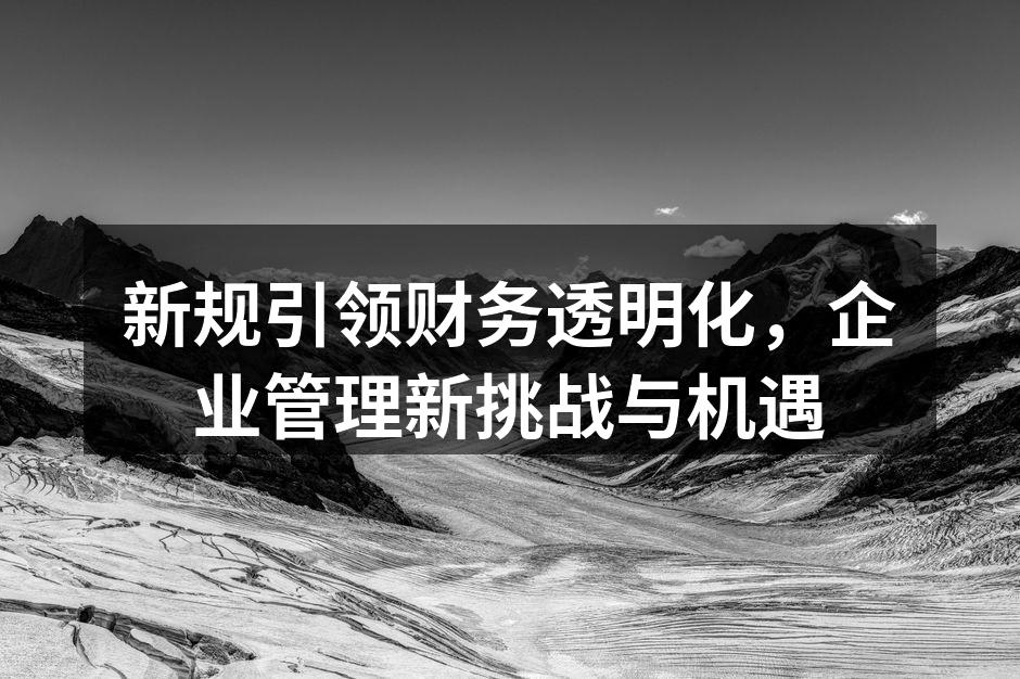 新规引领财务透明化，企业管理新挑战与机遇
