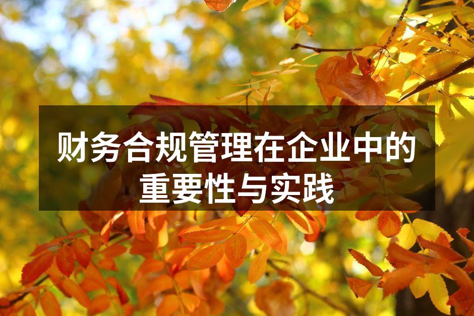 财务合规管理在企业中的重要性与实践