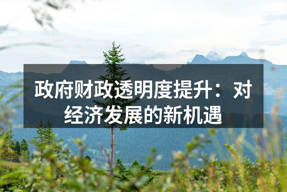 政府财政透明度提升：对经济发展的新机遇