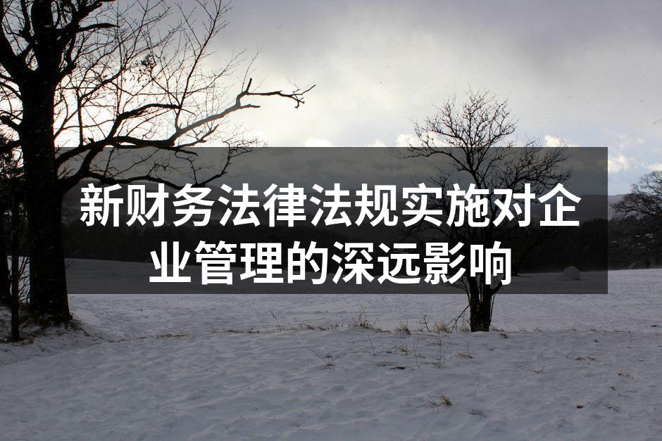 新财务法律法规实施对企业管理的深远影响